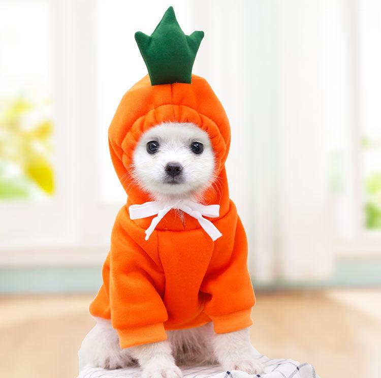 Cute Fruit Dog Fleece Hoodies
